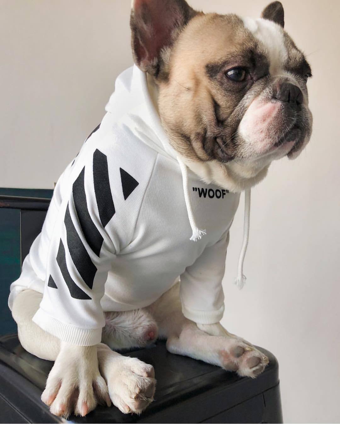 Fresh Pawz Woof Dog Hoodie by Furr Baby Gifts