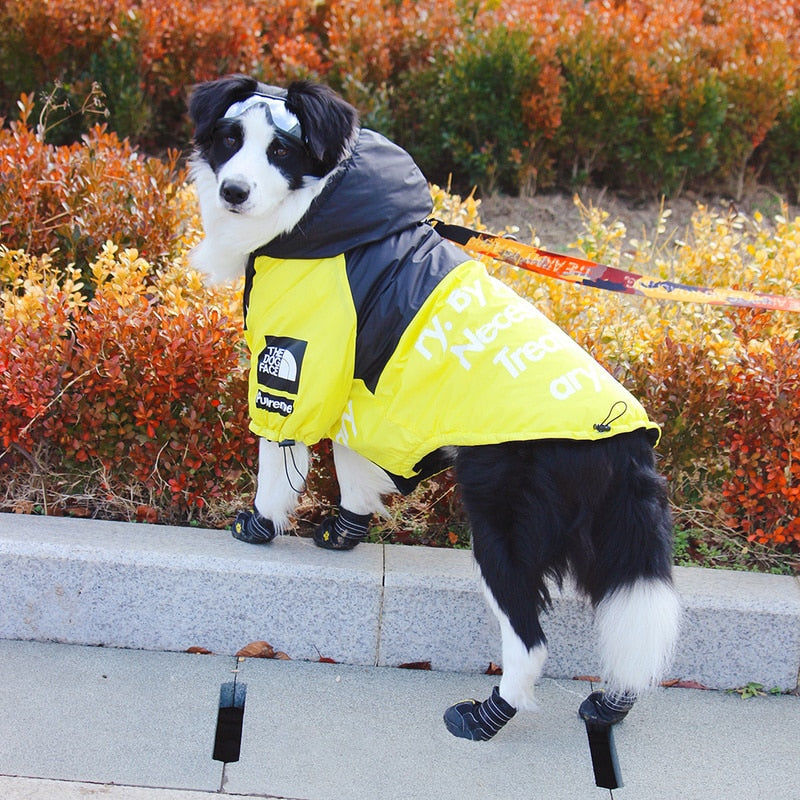 The Dog Face Windproof Waterproof Reflective Pet Cat Dog Jacket by Furr Baby Gifts