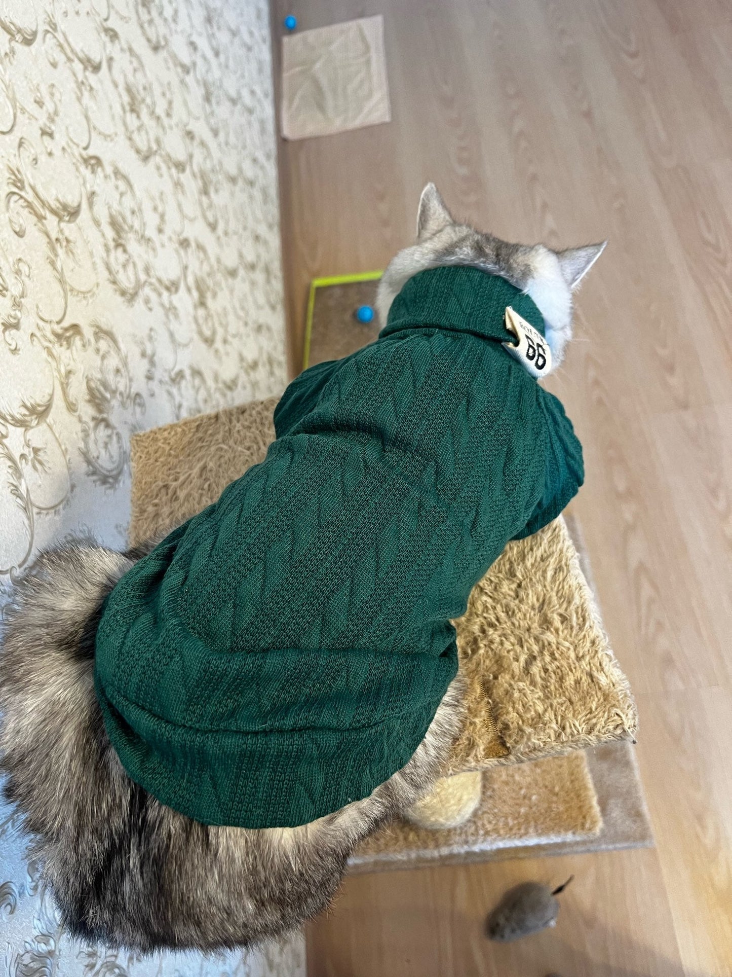 Winter Warm Knitted Turtleneck Sweater for Small Dogs or Cats by Furr Baby Gifts