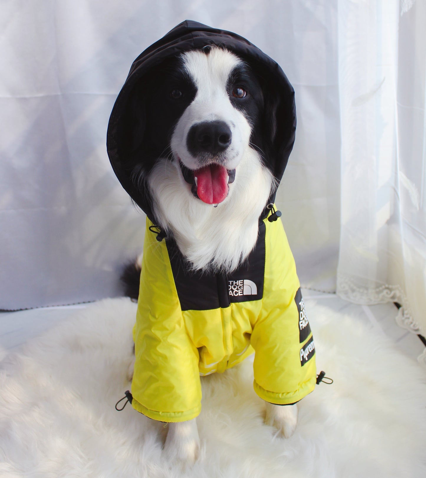 The Dog Face Windproof Waterproof Reflective Pet Cat Dog Jacket by Furr Baby Gifts