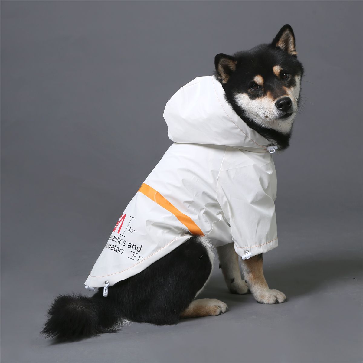 The Dog Face Windproof Waterproof Reflective Pet Cat Dog Jacket by Furr Baby Gifts