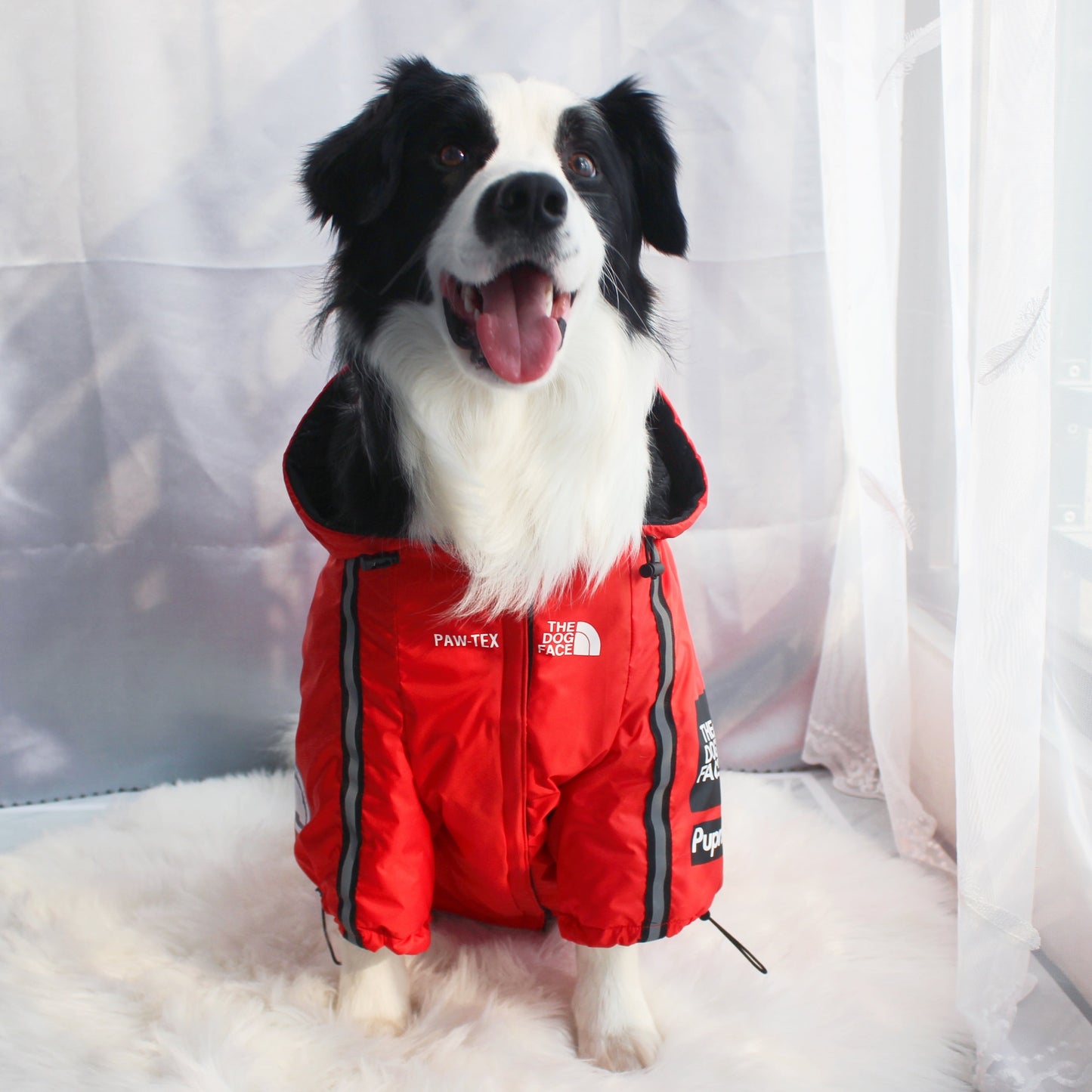 The Dog Face Windproof Waterproof Reflective Pet Cat Dog Jacket by Furr Baby Gifts